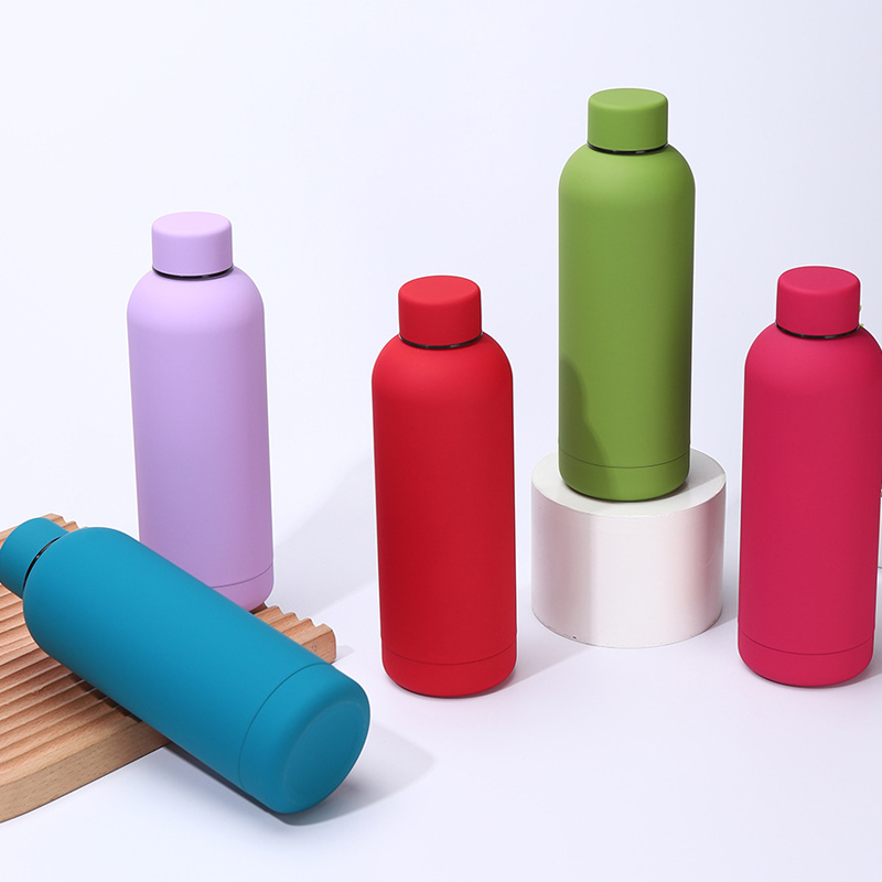 다채로운 스테인레스 스틸 물병